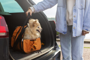 Air Travel with Pet